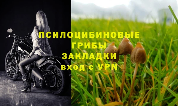 ГАЛЛЮЦИНОГЕННЫЕ ГРИБЫ Алзамай