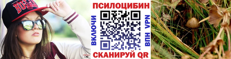 hydra маркетплейс  Усть-Илимск  Галлюциногенные грибы Cubensis 